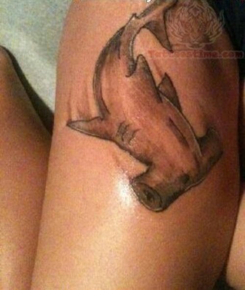 Grey Ink Hammerhead Shark Tattoo